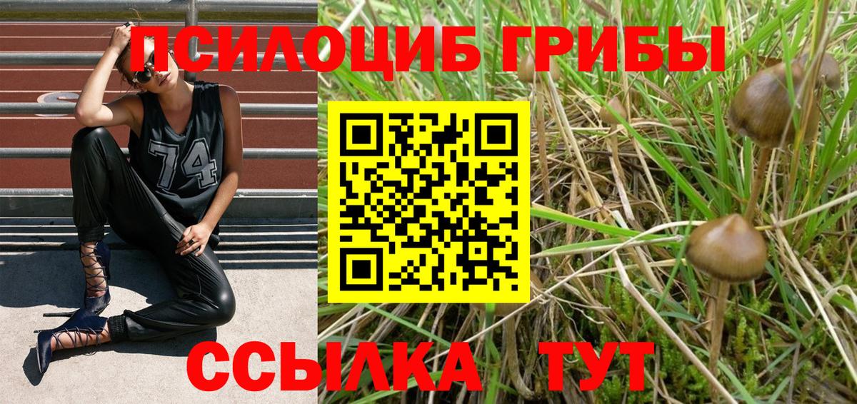 хочу наркоту  Вход с VPN  Сертолово  Галлюциногенные грибы мухоморы 
