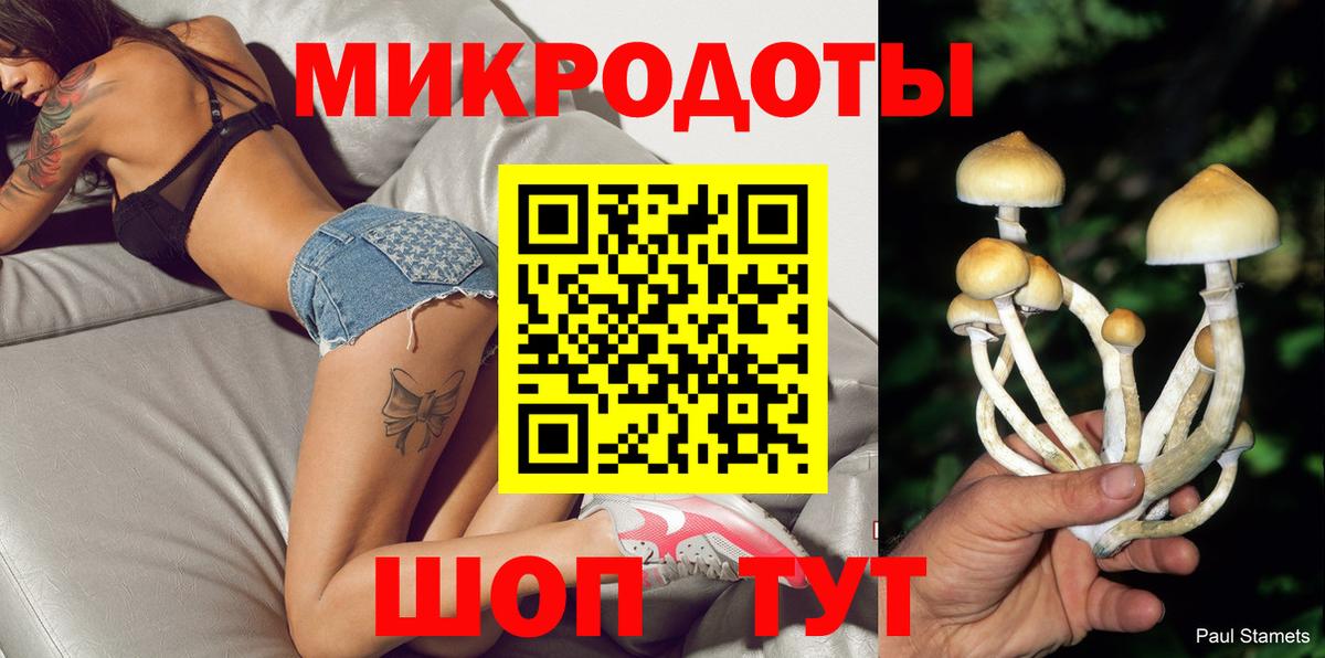 Галлюциногенные грибы Psilocybine cubensis Сертолово